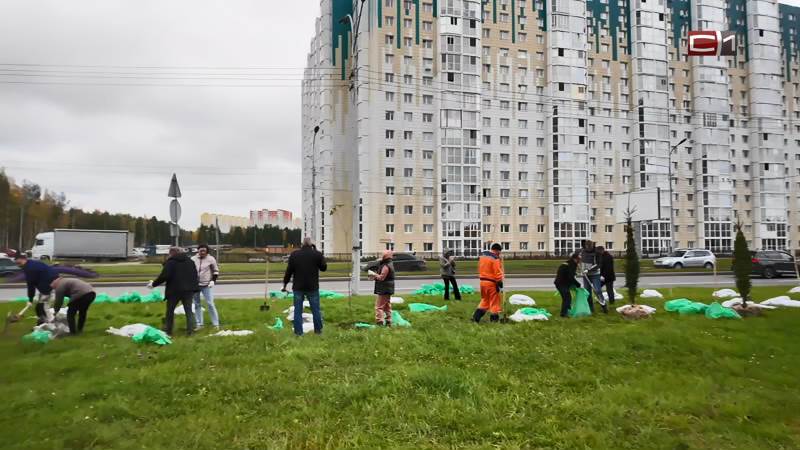Жители и предприниматели Сургута ополчились против тех, кто захламляет город