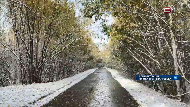 В Югре выпал первый снег — пока только в восточной части