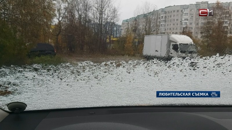 Зима пришла и в Сургут: в городе выпал первый снег