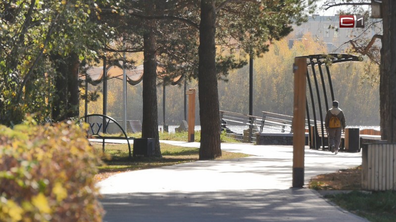 Тропинки в парке «За Саймой» в Сургуте готовы на 95%