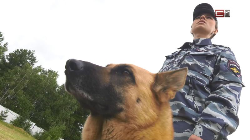 Посылку с лекарством-наркотиком задержали на таможне в Сургуте