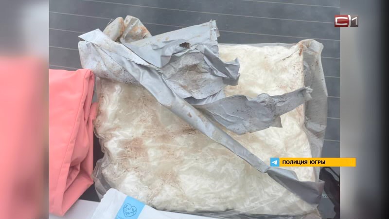 В лесу Сургутского района полицейские задержали дилера с килограммом наркотиков