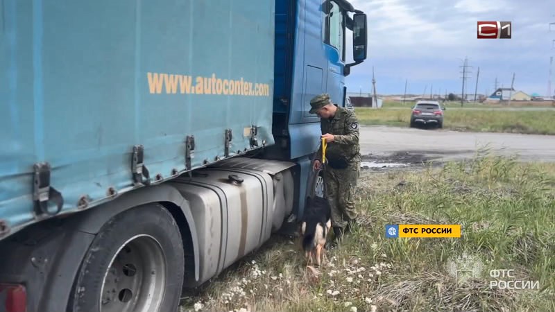 В Тюменской области задержали мужчину с партией наркотиков из Казахстана