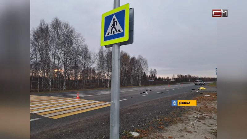 На трассе в Тюменской области насмерть сбили пешехода