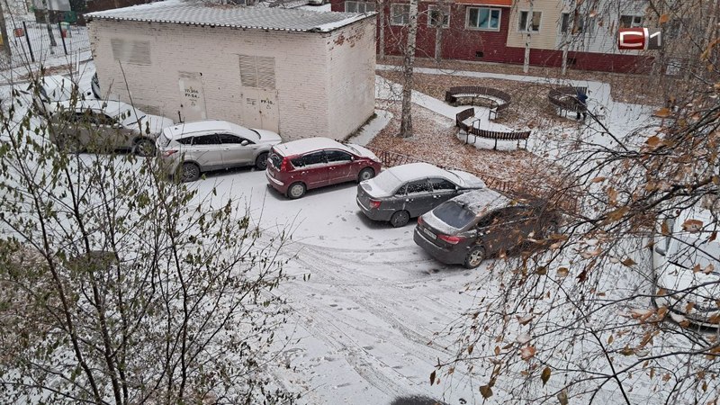Сургут заметает снегом, но лежать он будет недолго