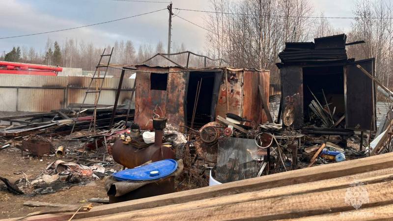 Трагедия в Югре: два человека погибли во время пожара в дачном кооперативе