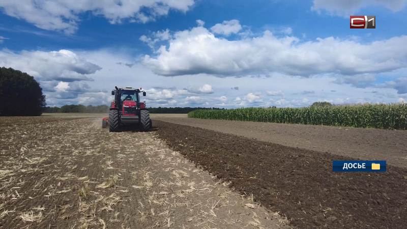 В Тюменской области собрали рекордный урожай с полей