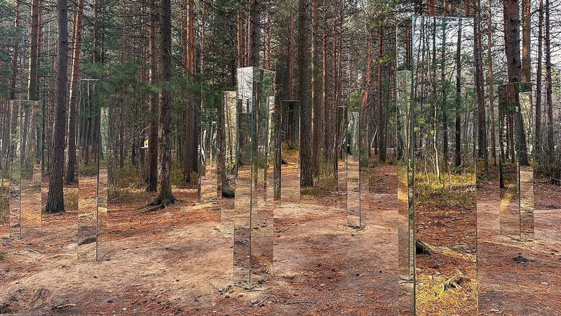 В парке «За Саймой» в Сургуте появился «Зеркальный лес»