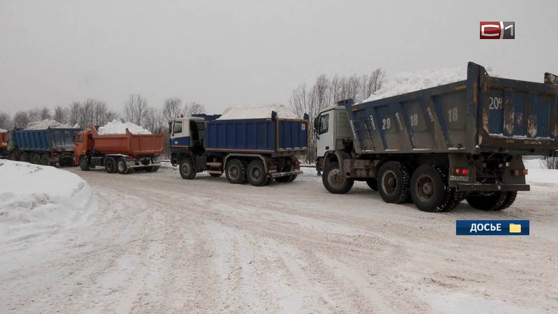 Снежные полигоны в Сургуте разрешат вопрос с вывозом снега предстощей зимой