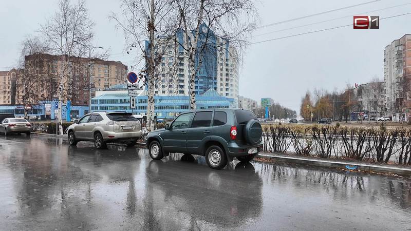 Жителям Сургута объяснили, почему в городе спиливают взрослые деревья