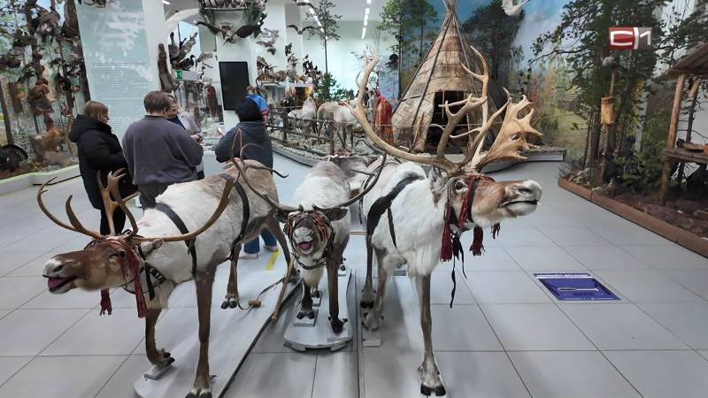 В Сургутском районе провели капитальный ремонт Музея Природы и Человека 