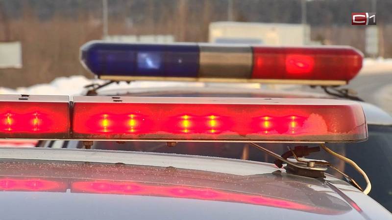 Суд вынес приговор сургутянину, купившему поддельные права