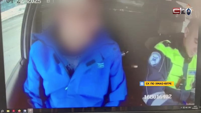 Жителя Югры будут судить за взятку, езду без прав и стрельбу по животным