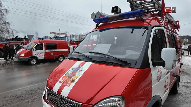 Жителей Дорожного предупреждают о временном снижении качества холодной воды