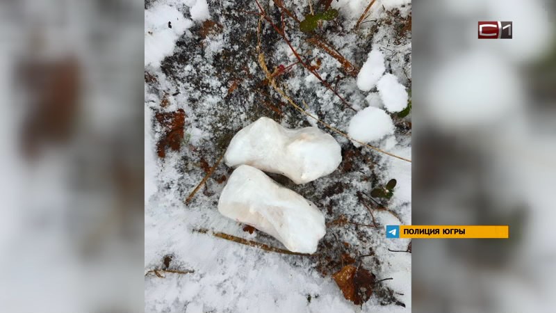 В Югре наркокурьер напал с ножом на полицейских при задержании