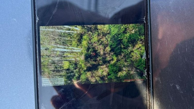 В Югре местного жителя осудили за приобретение и хранение наркотиков