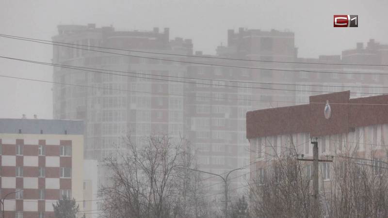 В Сургуте ожидаются сильные морозы и первая в учебном году актировка