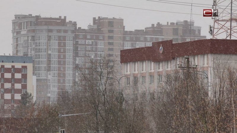 В последний месяц 2025 года россияне отработают 22 дня