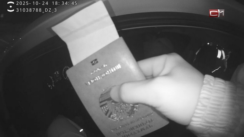 В Югре нелегал пытался дать взятку сотруднику ДПС, чтобы избежать наказания