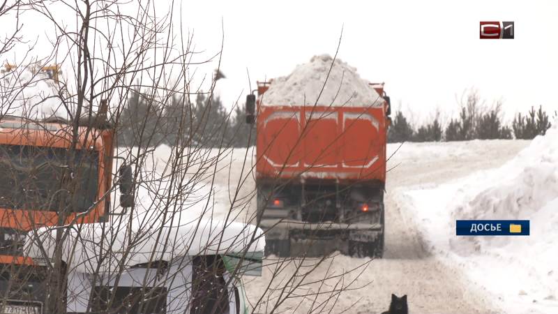 Более 137 тысяч кубометров снега вывезли из Сургута с начала сезона