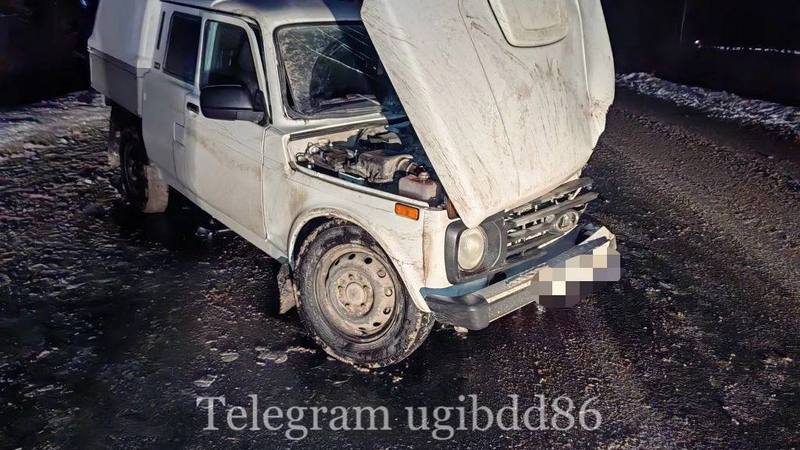 В аварии в Сургутском районе пострадали 3 взрослых и ребенок