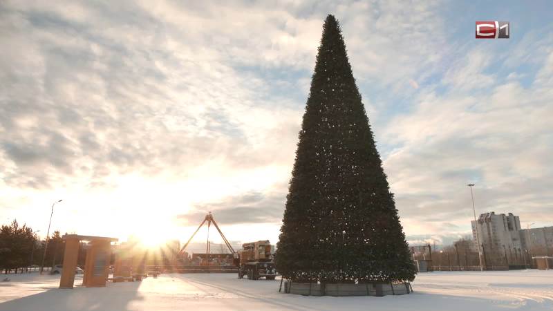 Где в новогоднем Сургуте появятся самые высокие ледяные горки и нарядные елки 