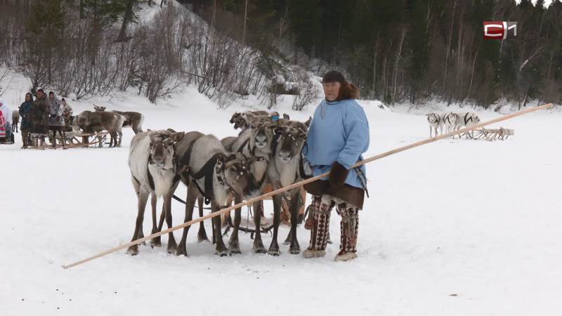 В одном из переводчиков стал доступен язык коренного народа Югры