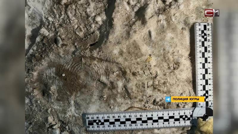 Житель Югры залез в чужой гараж и вынес имущество на 80 тысяч