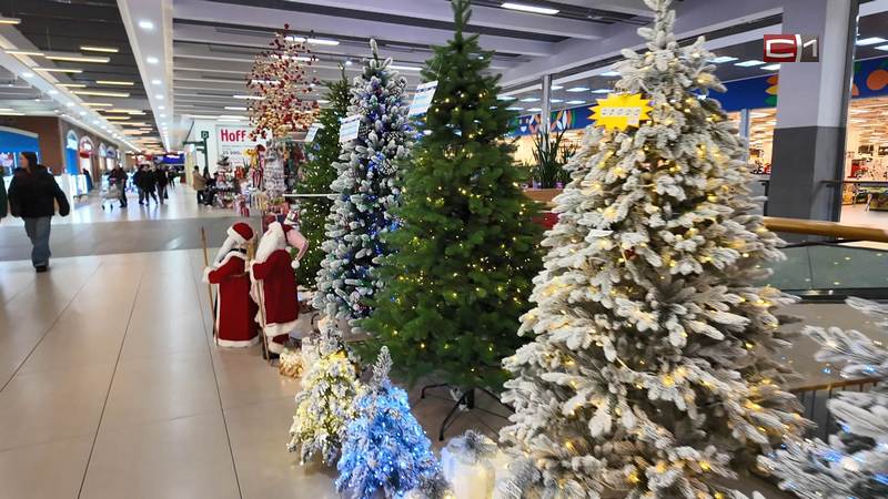 Сургутяне поделились списком важных дел, которые хотят завершить к Новому году