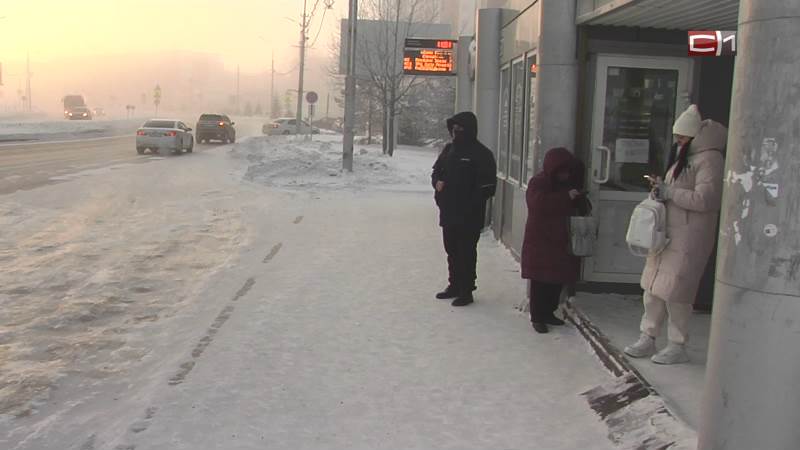 Первая тотальная актировка в Сургуте стала поводом для шуток среди взрослых