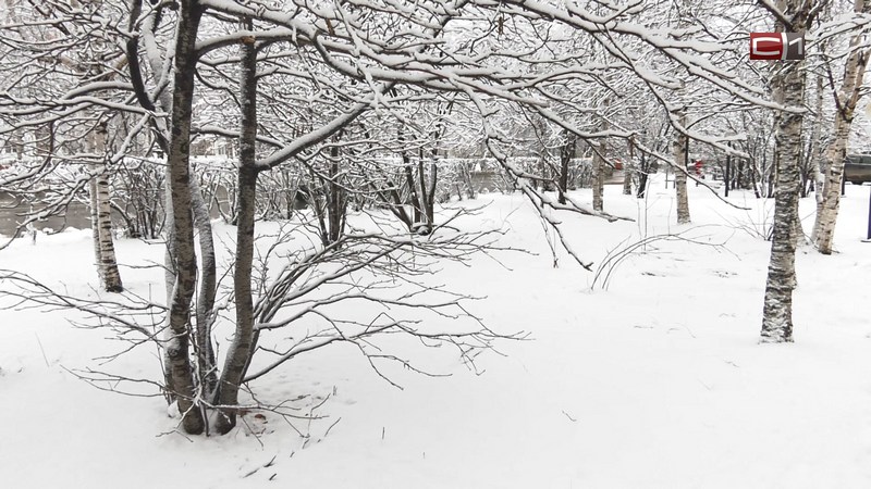 Жителям Сургута посоветовали воздержаться от поездок на дачи в морозы