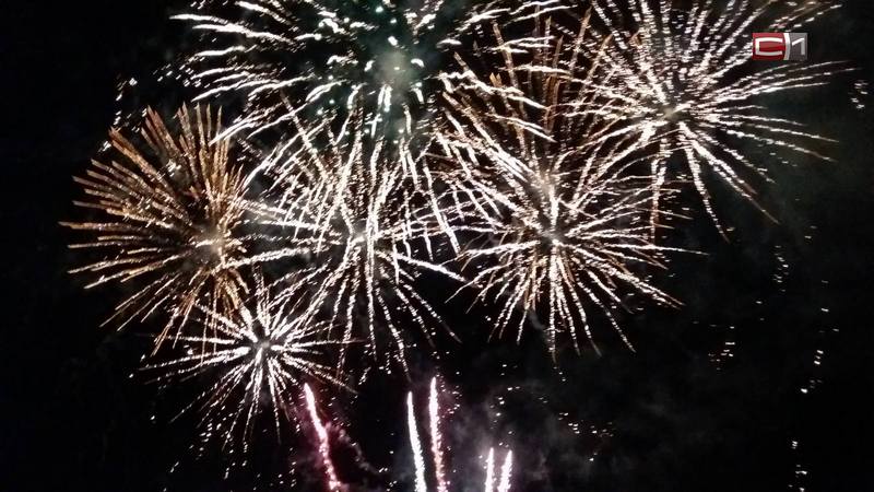 Какую опасность для человека несут фейерверки в новогоднюю ночь