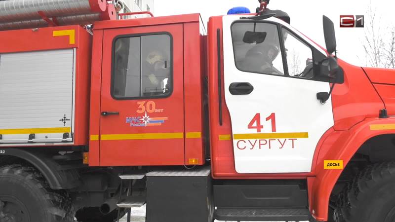 В Сургуте сгорела хозпостройка – погибли домашние птицы