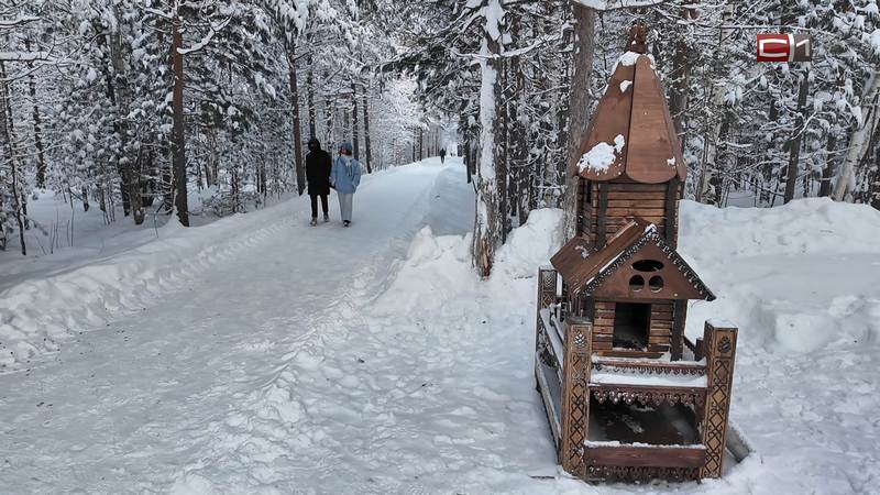 Сургутяне рассказали, о чем мечтают в преддверии Нового года 