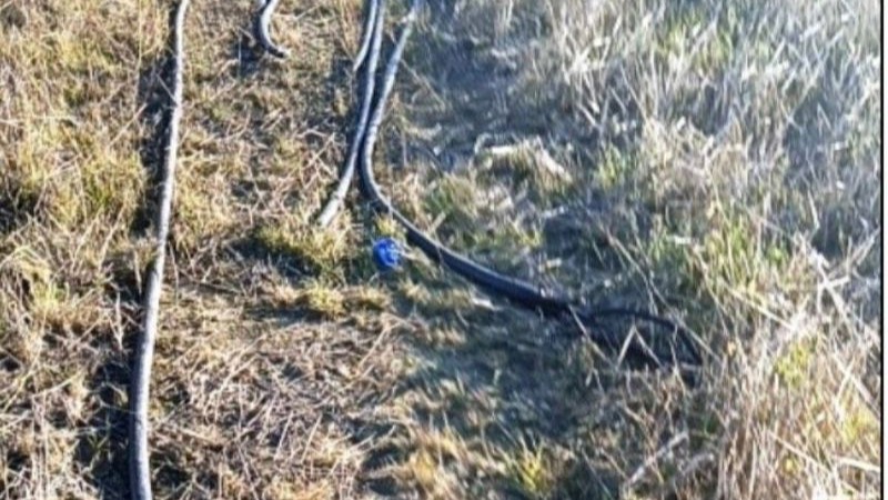 Жителей Сургутского района обвиняют в крупной краже кабеля с месторождения