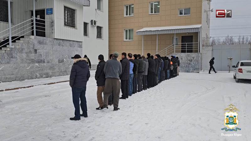 Более 3 тысяч мигрантов привлекли к ответственности в Сургуте за 2025 год