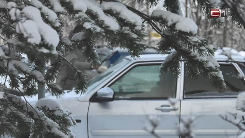 Жительница Сургутского района чуть не лишилась автомобиля из-за мошенницы