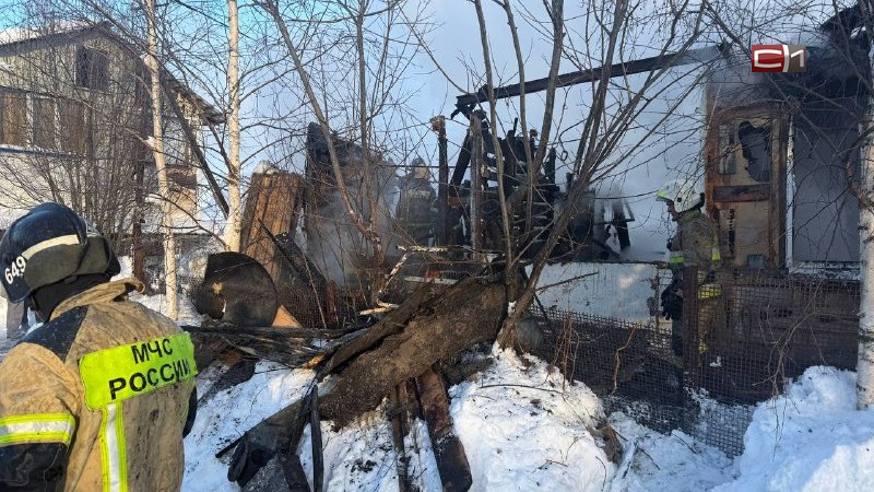 Шестилетний мальчик и его бабушка погибли при пожаре на дачах Сургута