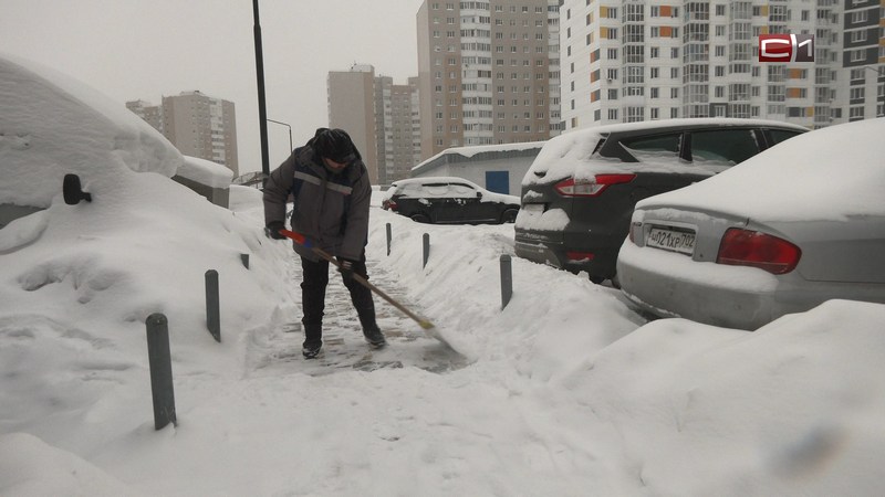 В феврале высота снежного покрова в Сургуте превысила многолетнюю норму