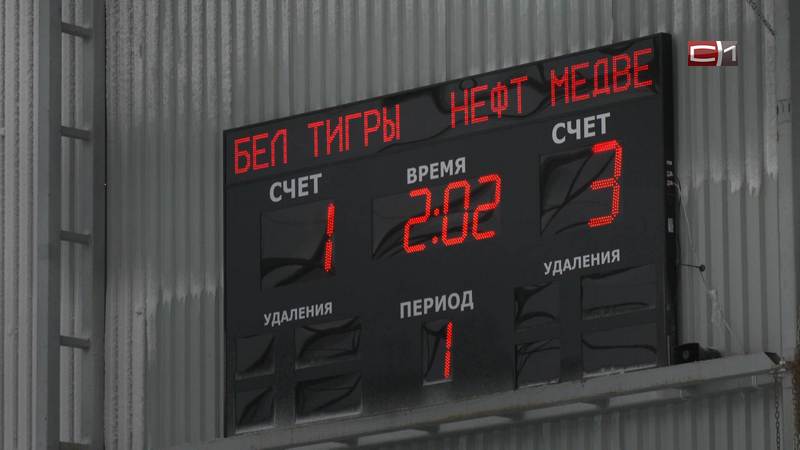 Инклюзивный хоккейный матч состоялся на спортплощадке Сургутского района