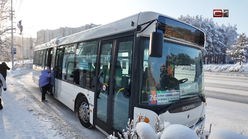 50 миллионов поездок: жители Югры стали чаще пользоваться автобусами