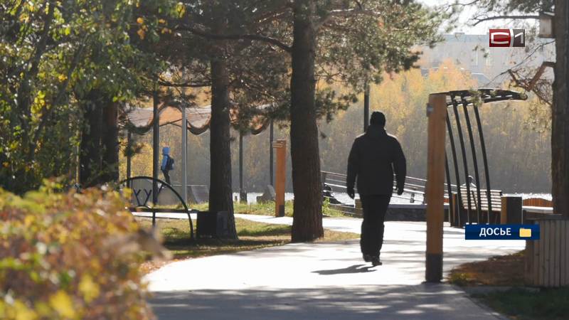 Сургутяне могут предложить свои идеи по благоустройству города