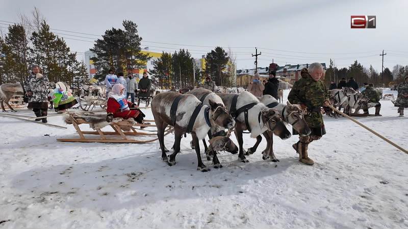 Ханты и манси показали свой уклад жизни на слете оленеводов в Сургутском районе