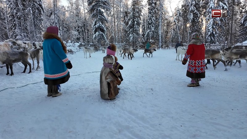 Новые меры поддержки ввели в Югре для коренных малочисленных народов