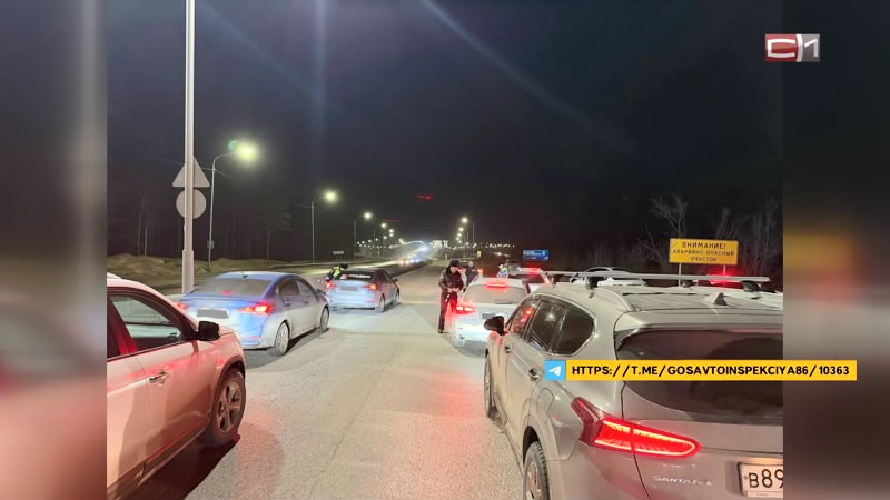 Привлекли кинологов: в Сургуте и районе прошел рейд по поиску пьяных водителей