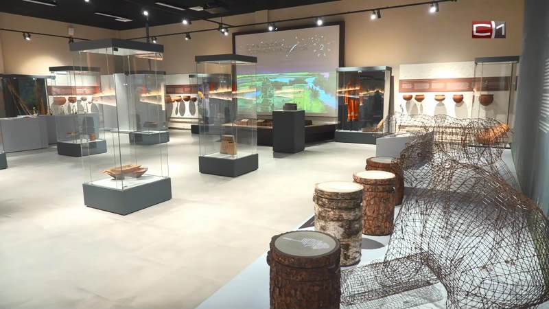 Специалисты Эрмитажа изучат артефакты Барсовой горы в Сургутском районе