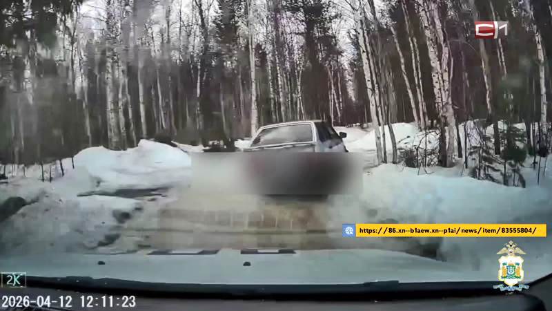 Погоня по лесу и сугробам: юных угонщиков без прав задержали в Югре