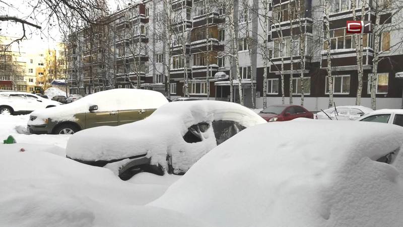 Почти 60 брошенных автомобилей в Сургуте могут отправиться на штрафстоянку