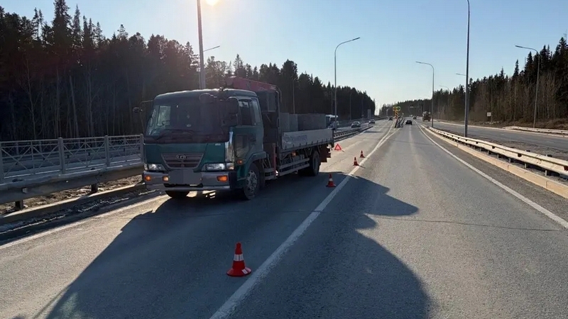 Переходил дорогу в неположенном месте: в Югре машина сбила пешехода