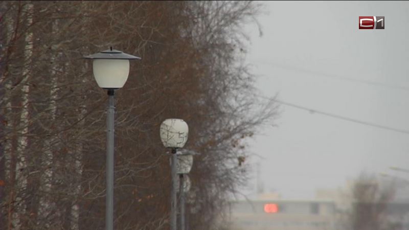 В Сургутском и Нижневартовском районах ожидается сильный ветер